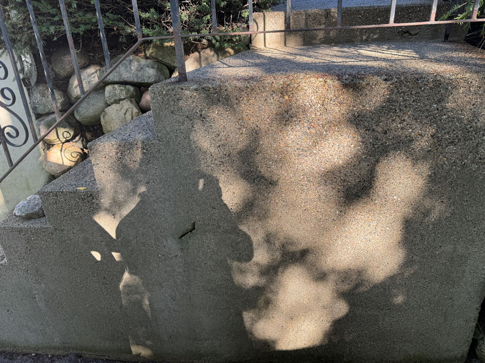 2C23F6E3-78EF-44B8-A4DB-4268E9D83950