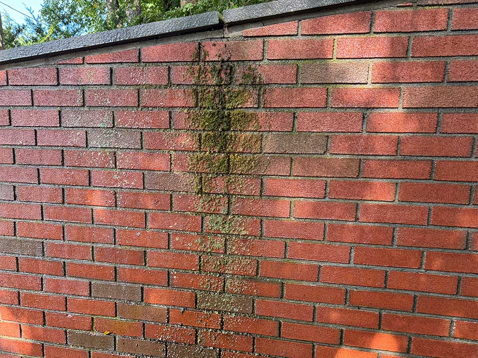 Untitled-2 Untitled-2